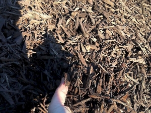 Brown Dyed Wood Chips